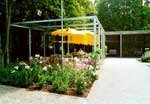 Caf / Terrasse